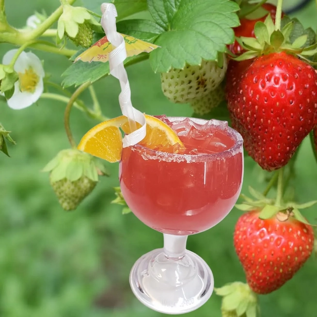 Rincon Catracho Restaurant